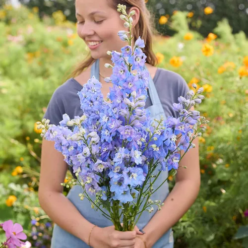 Vista 14 de Eden Brothers Semillas Delphinium - Campana Azul