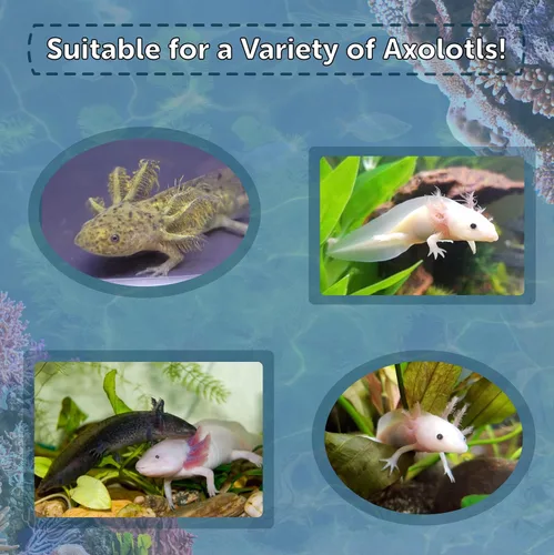 Vista 3 de Axolotl Food 1/16" suave húmedo hundiendo salmón desmoronado para bebé axolotl también camarones, caracoles, cangrejos, cangrejos de río, peces