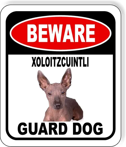 Vista 56 de BEWARE BASSETT HOUND GUARD DOG - Letrero compuesto de aluminio para exteriores, 8.5 x 10 pulgadas CUIDADO BASSETT HOUND GUARD PERRO