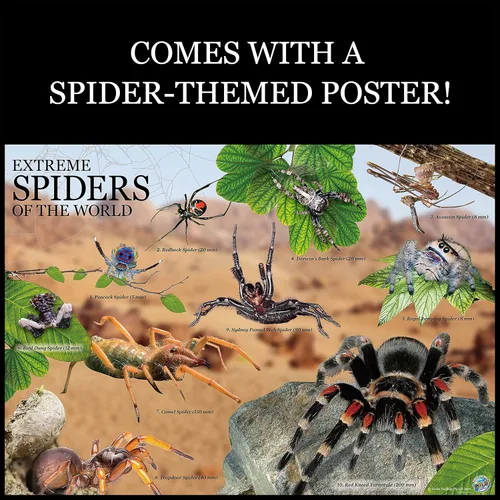 Vista 6 de Wild Environmental Science Extreme Spiders of the World Para mayores de 6 años Crea y personaliza modelos y dioramas Estudia los animales más