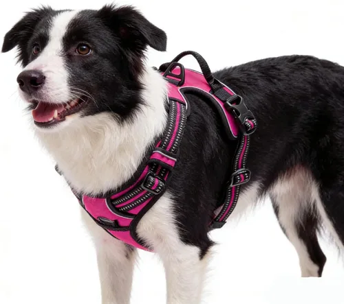 Vista 15 de Arnés negro reflectante sin tirones para perro con 2 clips para correa, chaleco acolchado suave para perros pequeños, fácil de poner y quitar