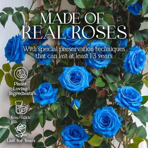 Vista 4 de GLAMOUR BOUTIQUE Rosas preservadas en una caja, regalos para ella, esposa y mamá, decoración de flores de rosas para regalo de cumpleaños, ramo