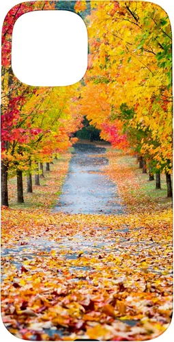 Vista 6 de iPhone 11 Otoño Hojas - Hermoso estuche de arboles