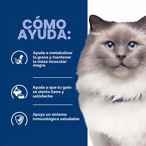 Vista 7 de Hill's Prescription Diet r/d Comida seca para gatos con reducción
