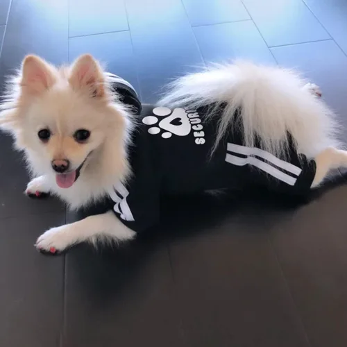 Vista 2 de Sudadera de seguridad con capucha para perros de 4 patas - Mono con sudadera - Sudaderas - Ropa suave y cálida para perros - Suéter con capucha