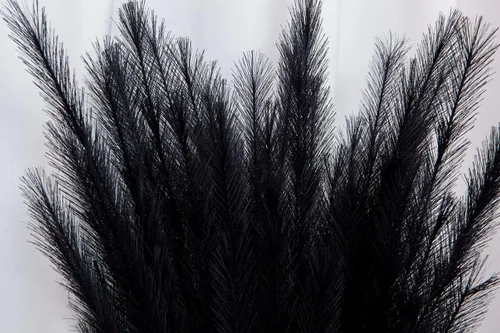 Vista 9 de UiiziC Hierba sintética de las pampas, 8 piezas de 30 pulgadas/76cm, flores artificiales secas y esponjosas, césped ascendente para rellenos de Negro