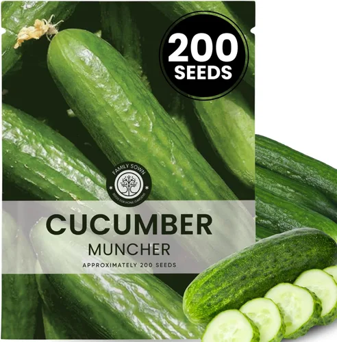 Vista 11 de Matt's Wild Cherry Tomate – 400 semillas premium para plantar – Tomates cherry prolíficos, dulces y de crecimiento vigoroso para la temporada 2026