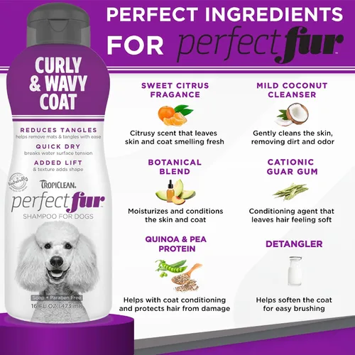Vista 4 de TropiClean Champú Natural Desenredante Perfect Fur para Perros con Pelo Rizado y Ondulado como Doodles, Poodles y Otras Razas, Champú Hidratante