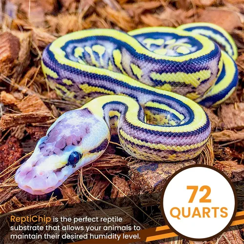 Vista 5 de ReptiChip - Sustrato de reptil con chips de coco de 72 cuartos de galón de capacidad, bloque de cáscara de coco orgánico comprimido para hábitat