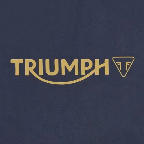 Vista 3 de TRIUMPH Camiseta gris Cartmel