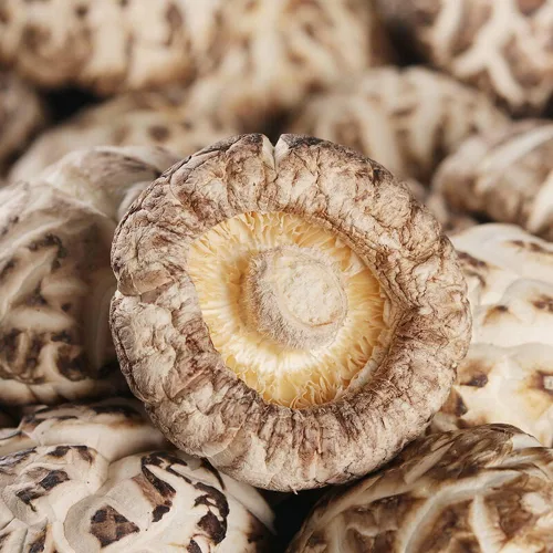 Vista 3 de Hongos Shiitake; Hongo Premium; Setas Shiitake Orgánicas Secas Micológicas,Champiñones Shiitake Premium secos (Hua gu-8.82 oz(0.55 libras))