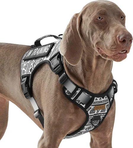 Vista 8 de Arnés para perro sin tirones para perros de tamaño pequeño, chaleco ajustable para caminar fácilmente, material Oxford transpirable, tiras Verde