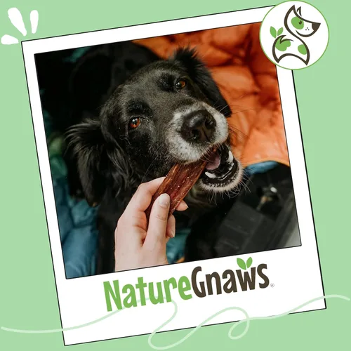 Vista 7 de Nature Gnaws Beef Gullet - Golosinas masticables para perros pequeños de 4 a 5 pulgadas (20 unidades) - Golosinas masticables de carne seca natural