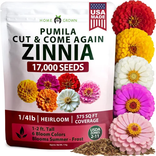 Vista 15 de HOME GROWN Bachelor Button Tall Mix 700+ Semillas de flores Centaurea