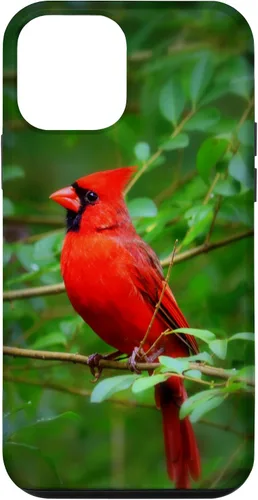 Vista 16 de Hermosa cardenal pájaro rojo escena de la naturaleza caso para iPhone 17