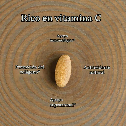 Vista 4 de New Chapter Vitamina C + saúco con vitamina C fermentada, hierbas integrales + protección de colágeno, 60 unidades (paquete de 1)