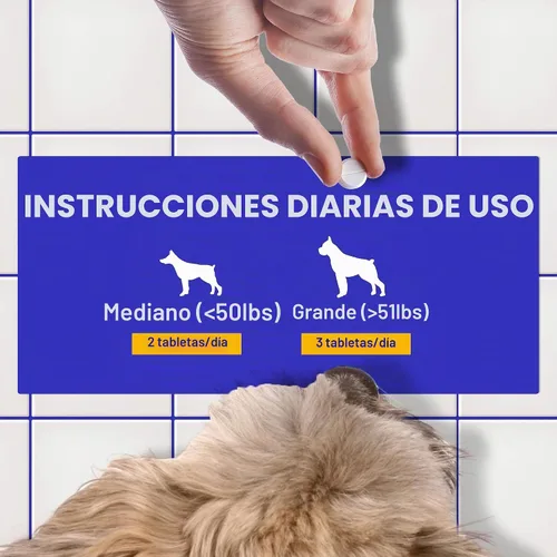 Vista 5 de Wonder Paws Suplemento B12 para perros – Vitamina B-12 para todas las edades, tamaños y razas – Vitamina B12 para perros como metilcobalamina