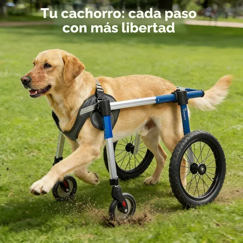 Vista 6 de Kit de ruedas delanteras para silla de ruedas para perros para actualizar la silla de ruedas de patas traseras a silla de cuatro ruedas (M)