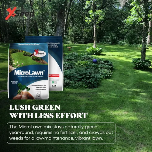 Vista 6 de X-Seed Microlawn - Mezcla de semillas de césped y microtrébol: césped denso autoalimentable, sol y sombra, elimina las malas hierbas, alto tráfico