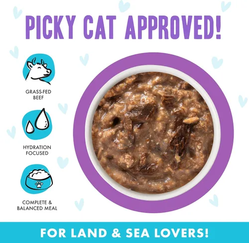 Vista 3 de Weruva B.F.F. OMG - Best Feline Friend Oh My Gravy!, Booya! - Alimento para gatos con carne de res y pollo en salsa, bolsa de 2.8 onzas