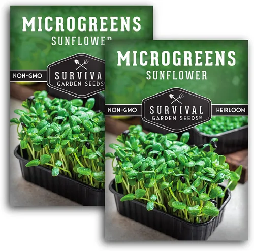 Vista 10 de Semillas de microgreens de girasol para brotar – Planta y cultiva brotes de nuez y crujientes llenos de proteínas y vitaminas – Heirloom de rápido