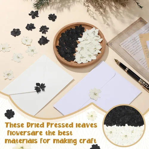 Vista 4 de Woanger 100 piezas de flores secas prensadas pequeñas flores secas de resina natural real, relleno de recortes para manualidades de resina