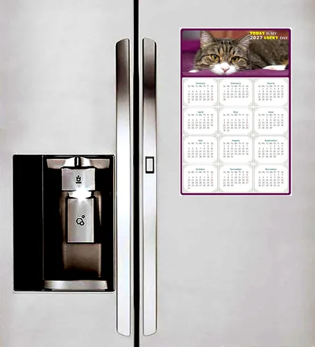 Vista 4 de Calendario magnético 2026 – Imanes del calendario – Today is my Lucky Day – Resistente a la decoloración, desgarros y agua – Temática de gato 022