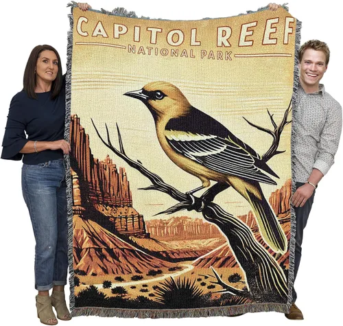 Vista 74 de Pure Country Weavers Manta del Parque Nacional Acadia, manta de tapiz de algodón para regalo, fabricada en los Estados Unidos, 72 x 54 pulgadas