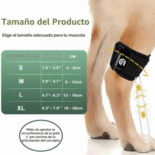 Vista 4 de Soporte de pierna trasera para perro