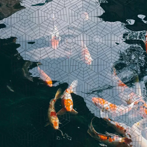 Vista 5 de Red protectora de estanque de plástico, 20 unidades, cubierta de malla flotante para peces, disuasorio de garza
