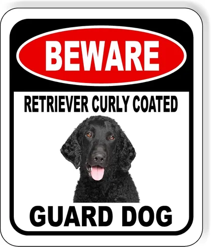 Vista 106 de BEWARE BASSETT HOUND GUARD DOG - Letrero compuesto de aluminio para exteriores, 8.5 x 10 pulgadas CUIDADO BASSETT HOUND GUARD PERRO