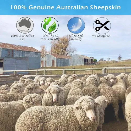 Vista 5 de Champlus Alfombra Genuina de Piel de Oveja Merino Australiana, 2.3x3.3 pies Alfombra de Piel con Pelo de Oveja, Alfombra de Área de Piel de Cordero