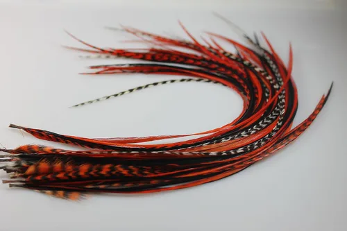Vista 3 de Extensión de pelo de plumas: rojo, verde, negro y Grizzly Remix, cinco plumas de gallo genuinas unidas en la punta, que van de 6 a 10 pulgadas