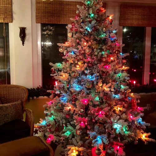 Vista 6 de Paquete de 25 bombillas de repuesto de luces de Navidad C7, bombillas incandescentes de vidrio multicolor transparente, base de candelabro C7/E12