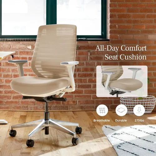 Vista 8 de Silla ergonómica Branch - Una silla de escritorio versátil con soporte lumbar ajustable, respaldo de malla transpirable y ruedas suaves - Grafito