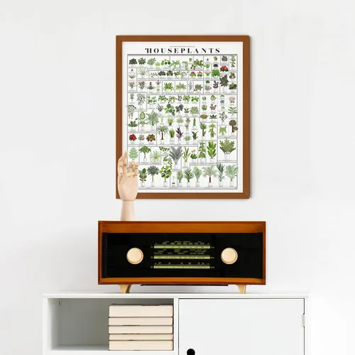 Vista 6 de Pop Chart Tabla hortícola de plantas de interior Arte de pared de 16 x 20 pulgadas Póster botánico Decoración de pared terrosa 100%
