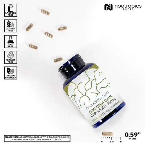 Vista 3 de Nootropics Depot Cápsulas de cava Ecklonia 250mg 0.5% Dieckol Algas marinas 60