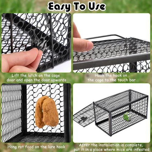 Vista 5 de Qualirey Trampa humana para ratas, ardilla, roedor, ratón, ardilla, trampa para ardillas, 11 x 6 x 6 pulgadas, para animales vivos, ratones