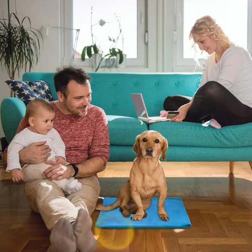 Vista 3 de MARUNDA Almohadilla térmica para mascotas, almohadilla térmica para gatos impermeable para interiores, temperatura constante automática, cable