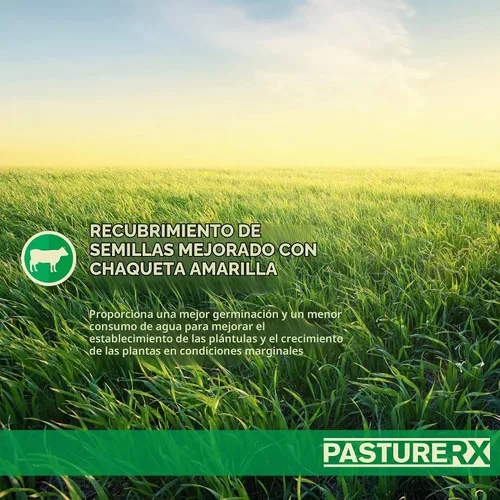 Vista 6 de Barenbrug PastureRX Premium - Mezcla de semillas de césped y forraje, 23 libras (norte y transición)