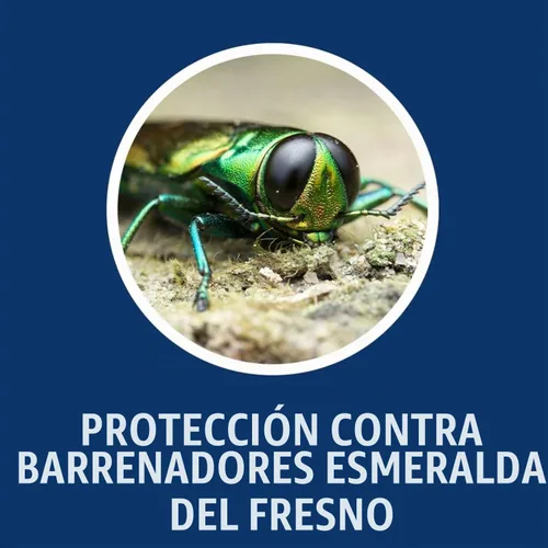 Vista 5 de BioAdvanced Concentrado para proteger y alimentar árboles y arbustos de 12 meses - 1 galón