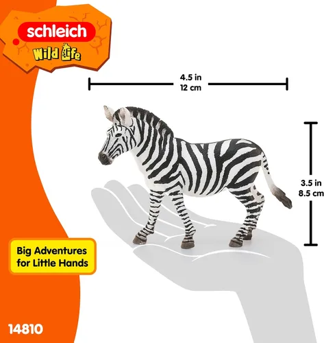 Vista 5 de Schleich Wild Life - Figura de cebra femenina realista – Juguete auténtico y altamente detallado de animales salvajes, duradero para la educación