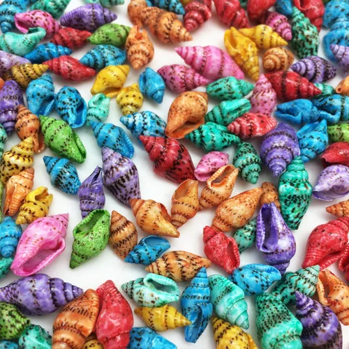 Vista 12 de PEPPERLONELY Conchas marinas teñidas de colores surtidos, 5 onzas, tamaño 1/4 pulgada