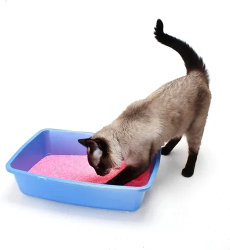 Vista 5 de NEON - Arena de gel de sílice para gatos, color rosa