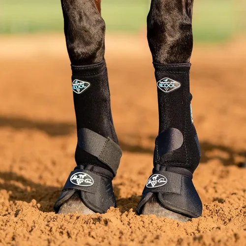Vista 6 de Professionals Choice - Bota de campana de extralimitación con casco balístico para equinos
