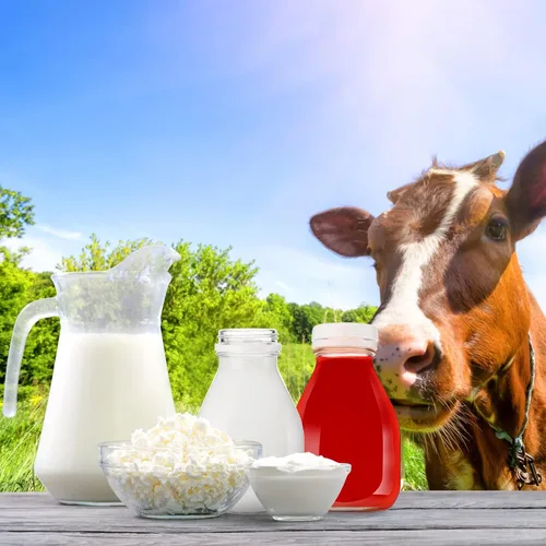 Vista 4 de Patelai - 6 botellas de leche de vidrio de 16 onzas con tapas, recipientes pequeños de leche con tapa, almacenamiento en refrigerador, botella