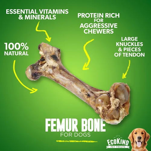 Vista 3 de EcoKind Hueso de fémur gigante para perros 1 hueso Huesos de perro de mamut de larga duración para masticadores agresivos, golosinas saludables