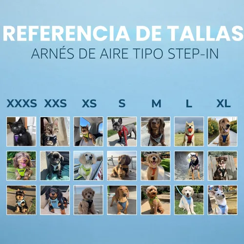 Vista 6 de Best Pet Supplies Voyager Step-In Air - Arnés para mascotas con entrada por las patas, malla para todo tipo de clima, reflectante, arnés sin tirón
