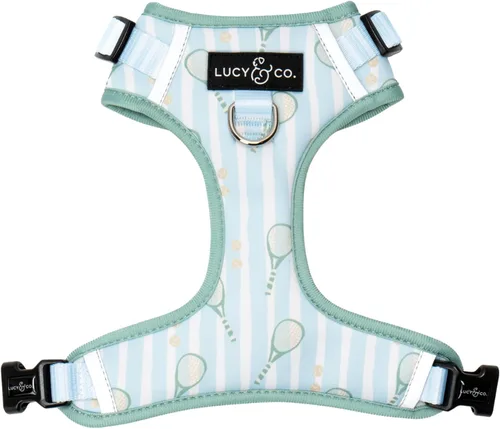 Vista 30 de Lucy & Co. The Bolt of Lightning Arnés para perro sin tirones para perros, chaleco para dejar de tirar y caminar fácilmente, cómodo producto