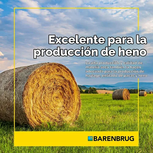 Vista 4 de Barenbrug Horsemaster Premium - Mezcla de semillas de pasto (bolsa de 25 libras)
